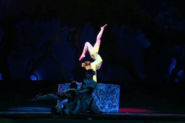 Circo Imperial de China · foto 4