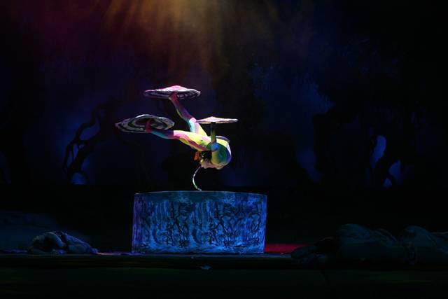 Circo Imperial de China · foto 5
