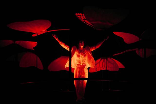Fuerza Bruta: Aven 2025 · foto 6