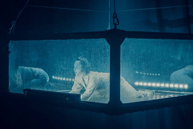 Fuerza Bruta: Aven 2025 · foto 7